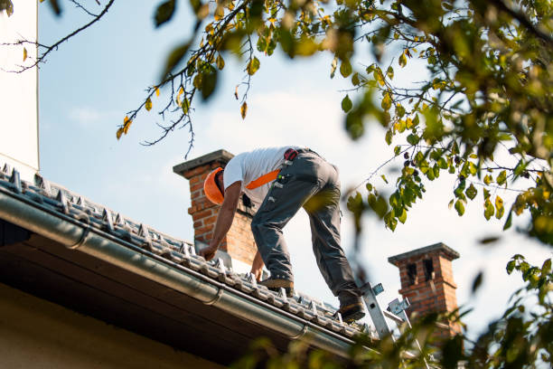 Quick and Trustworthy Emergency Roof Repair Services in Wasilla, AK