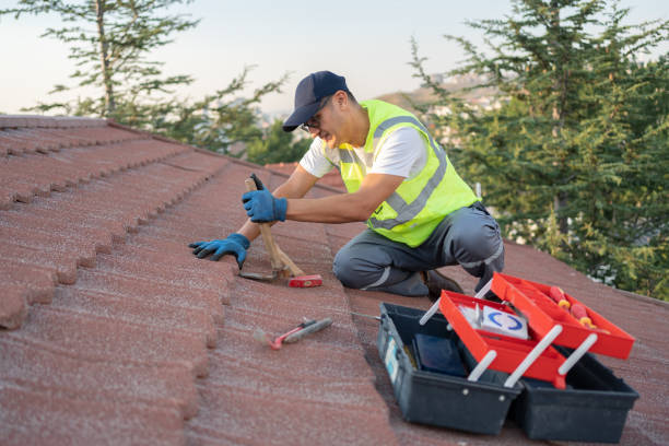 Best Commercial Roofing Services  in Wasilla, AK