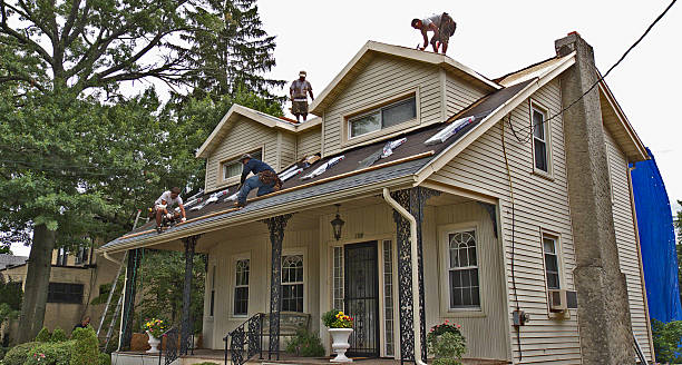 Best Roof Repair Services  in Wasilla, AK